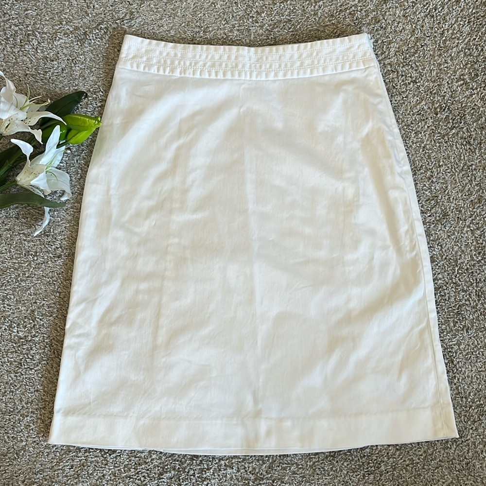 Banana Republic skirt